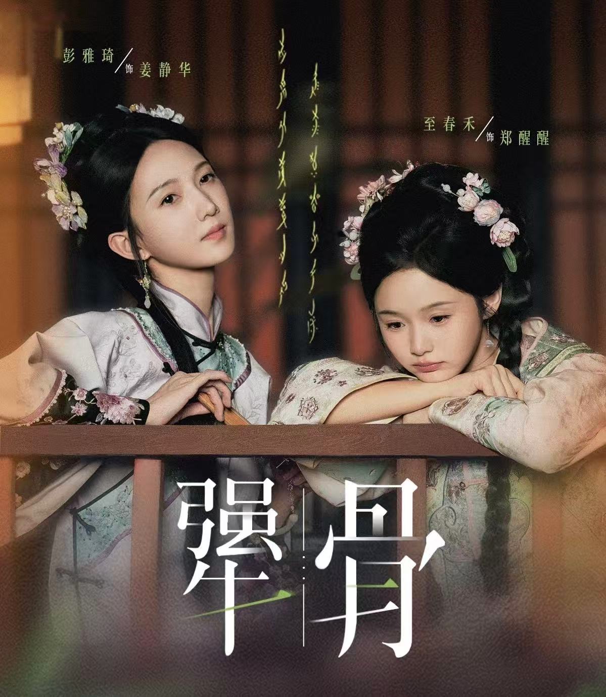 犟骨封面图