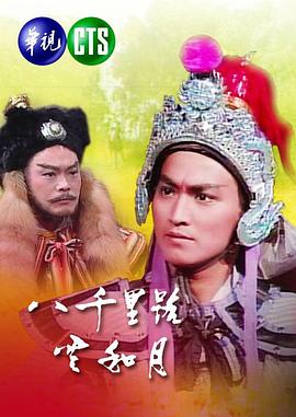 八千里路云和月1988封面图