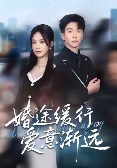 婚途缓行，爱意渐远封面图