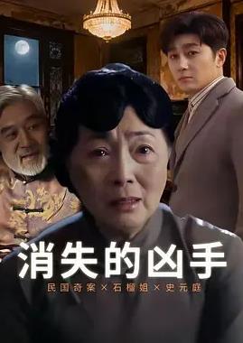 消失的凶手2026封面图