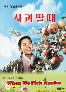 摘苹果的时候封面图