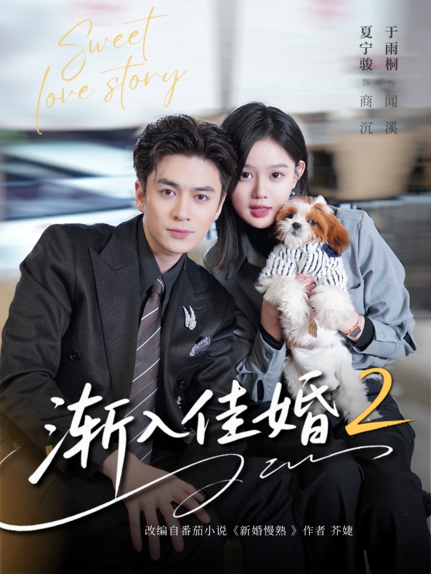 渐入佳婚2封面图
