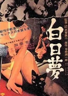 白日梦封面图