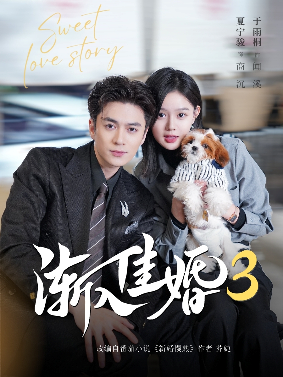 渐入佳婚3第三部封面图