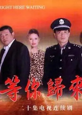 等你归来封面图