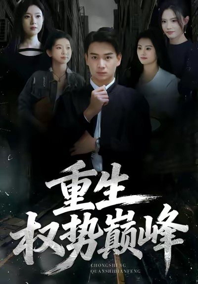 重生权势巅峰封面图