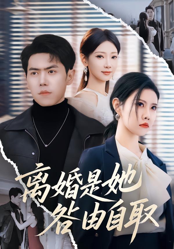离婚是她咎由自取封面图