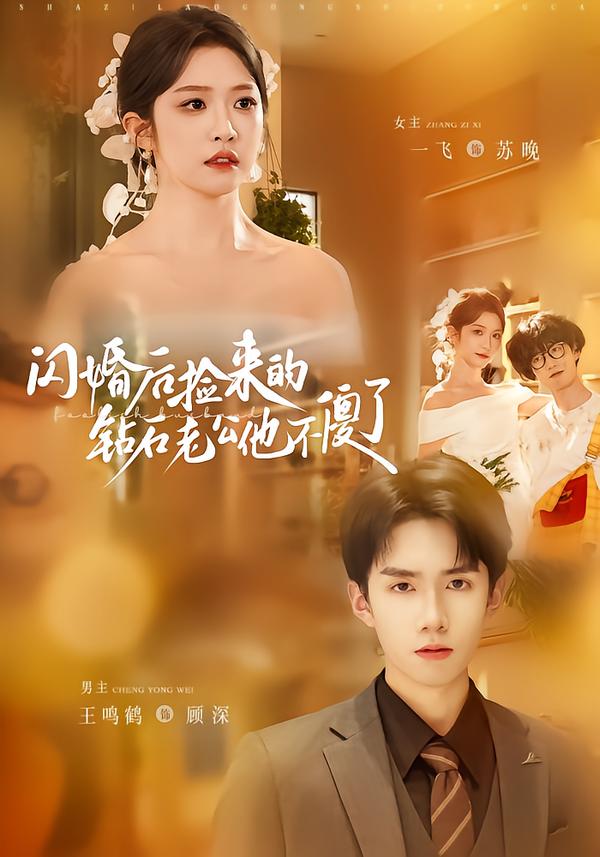 闪婚后捡来的钻石老公他不傻了封面图