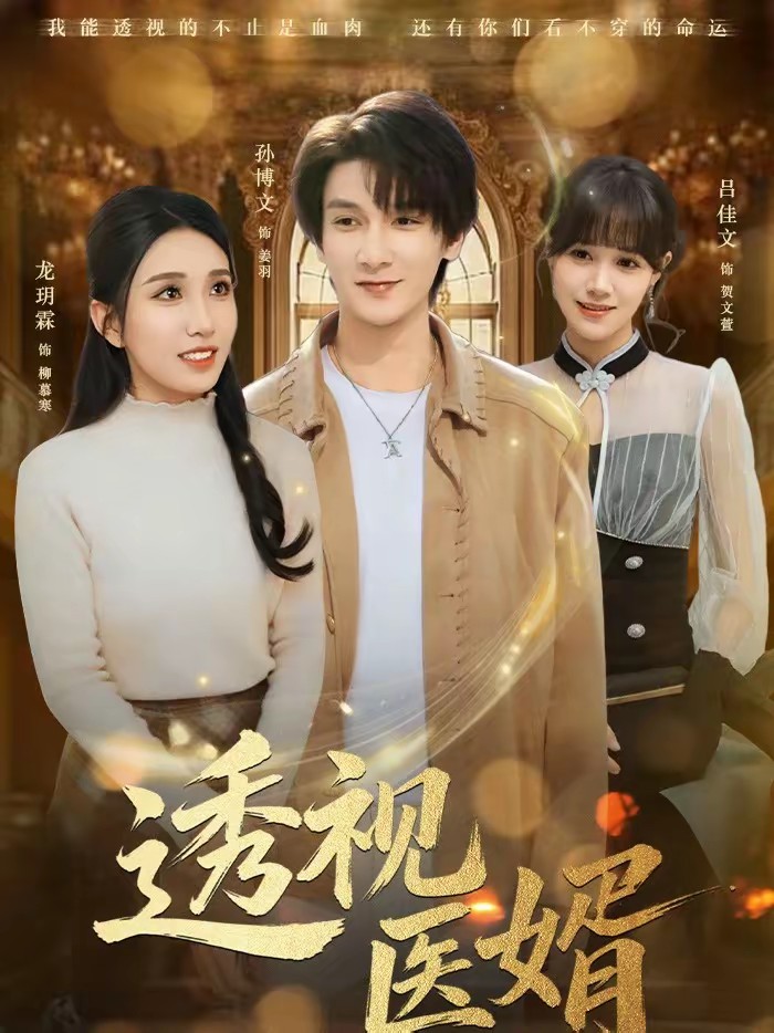透视医婿封面图