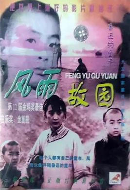 风雨故园封面图