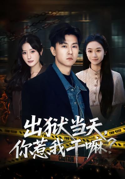 出狱当天，你惹我干嘛？封面图