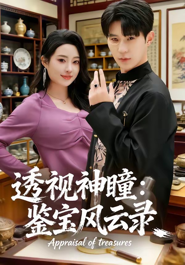 透视神瞳：鉴宝风云录封面图