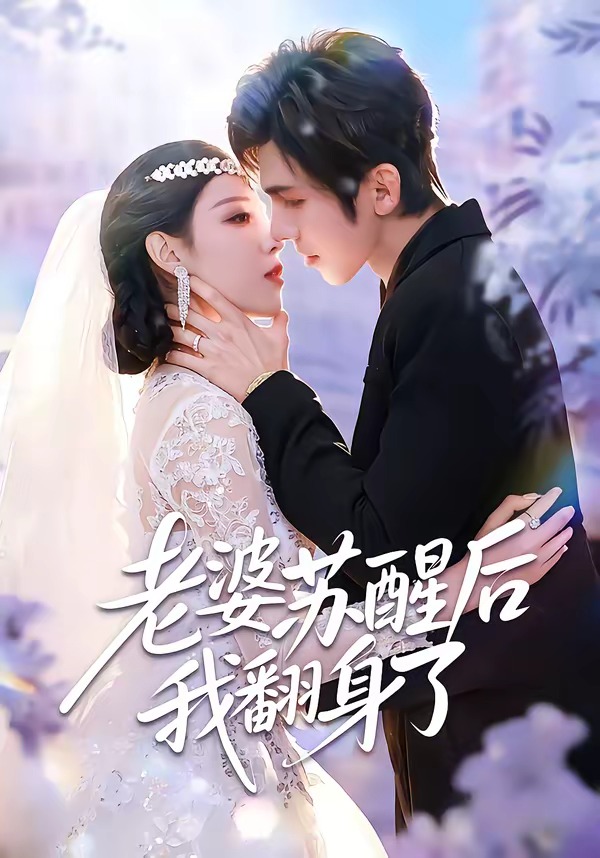 老婆苏醒后我翻身了封面图