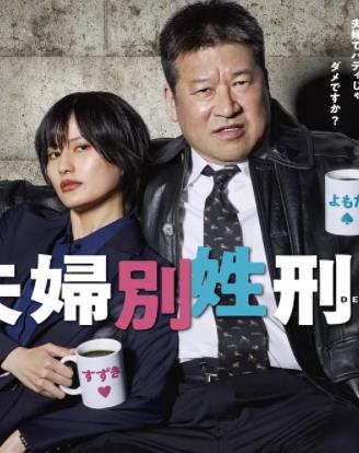 夫妇别姓刑警封面图