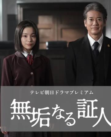 无垢的证人封面图